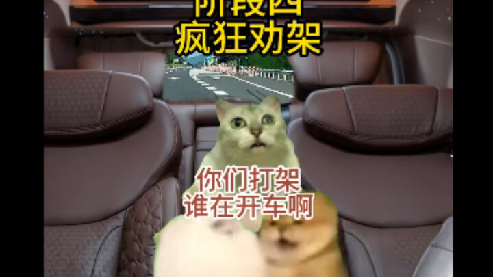 Khi tôi ngồi lên xe của cô bạn thân, họ đột nhiên bắt đầu cãi nhau