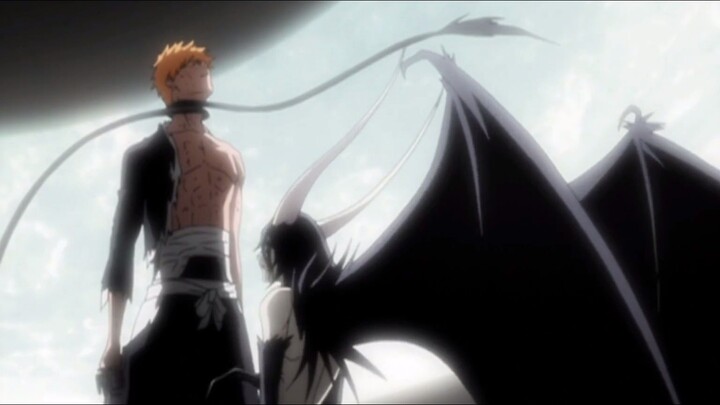 [Anime] [Bleach] MAD.AMV: Fight to Protect You