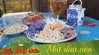 MỨT DỪA NON ngày TẾT MIỀN TÂY - Cách làm mứt dừa non đơn giản mà ngon hết ý | Đặc sản miền sông nước