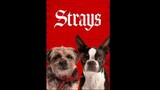 Strays 2023 Watch Full Movie Free From Link in Description [4K]