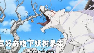 Guru kucing berubah menjadi tiga kucing kecil, episode Sansan yang paling lucu di Natsume Yuujinchou