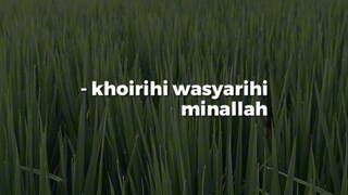 kalam hikmah