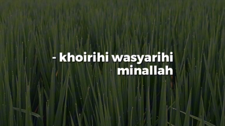 kalam hikmah