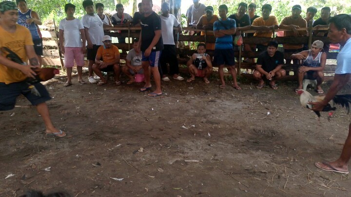 hiraw(1win) 1year old