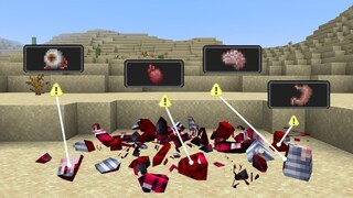 เมื่อเอาอวัยวะ!! ร่างกายออก | Minecraft