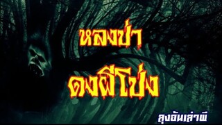 หลงป่า ดงผีโป่ง