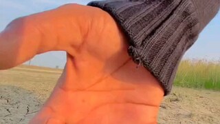 xadaqatt