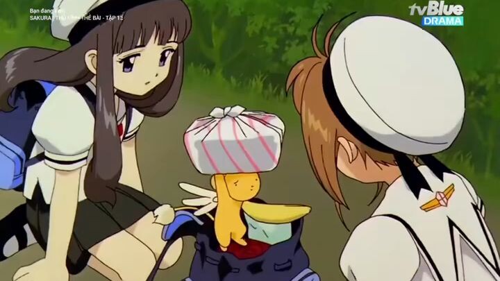 Sakura 13