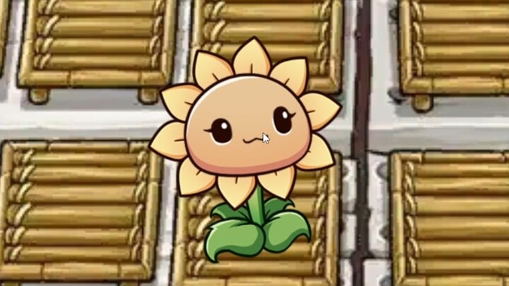 Small flowers in the Zen garden~