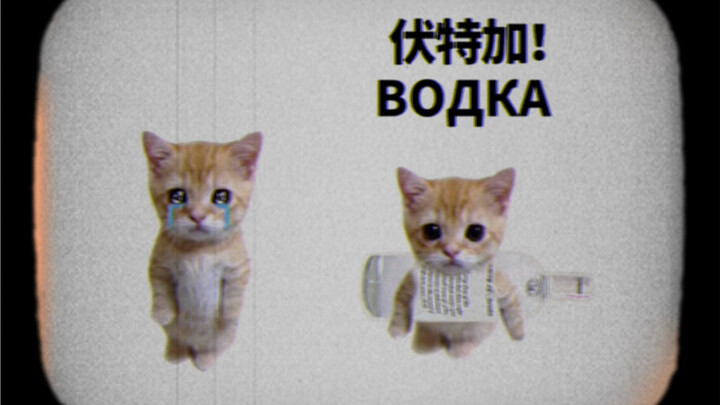 Kucing croissant, tapi... ini vodka!
