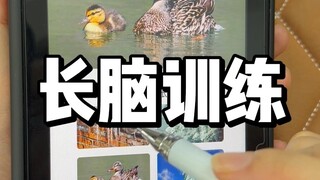 看她玩这个感觉脑子好痒啊