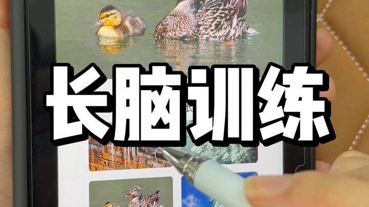 看她玩这个感觉脑子好痒啊