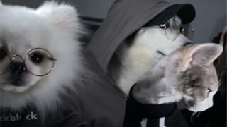 帽衫一戴你保护世界，我保护你