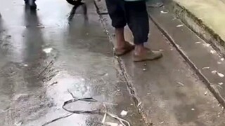 Help poor old man to sell corn. Young man gave him mango, money. In China.