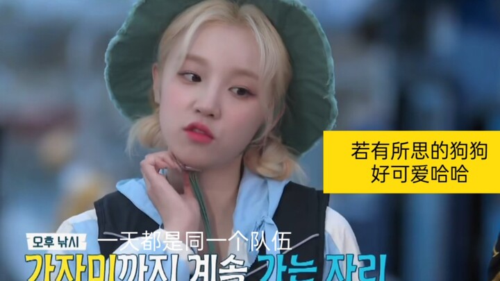 ไม่ผิดหวังจริงๆ ซ่งอวี่ฉี ความเป็นดาราวาไรตี้ของเธอมันถึงขั้นระดับเทพแล้ว!! น่ารักตายไปเลย!!! [แปลเอ