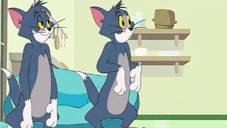 Tom accidentally discovered a cat that looked like him, so they exchanged identities!