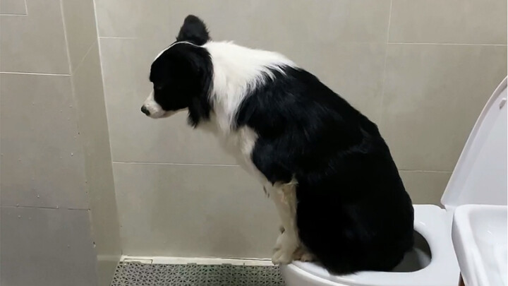 หิวแล้วก็กิน กินแล้วก็ถ่าย ถ่ายแล้วก็ยังหิวอยู่ดี…