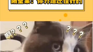 我的天，震惊我一整年，主打的就是一个听不懂。