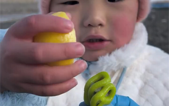 带着一家子来海边觅食，结果天气太冷大海都冻冰了！冻的他鼻子上都长出了小零食，哈哈哈