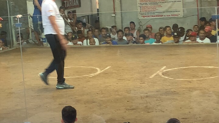 Kalabasa line vs vice mayor