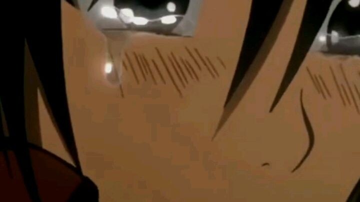Eren dan Mikasa (edit)