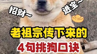 Ternyata ada rumus untuk memilih anjing