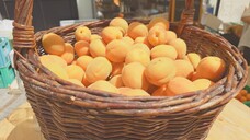 На Празднике Априкосов в городе Кремс в Австрии 2025