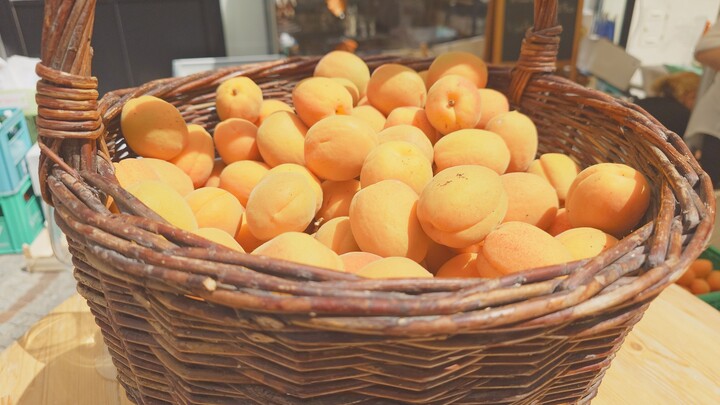 На Празднике Априкосов в городе Кремс в Австрии 2025