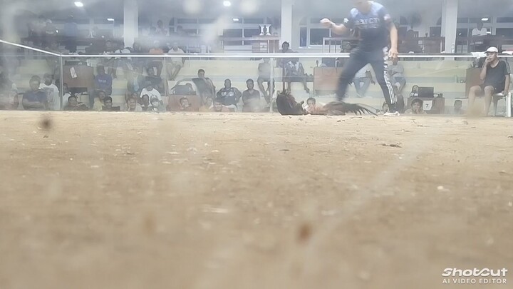 Bruce Barnett Sweater