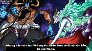 Chapter 1044 One Piece_ Tại sao trái Nika có thể trốn thoát và Kazenbo xử Orochi-P3