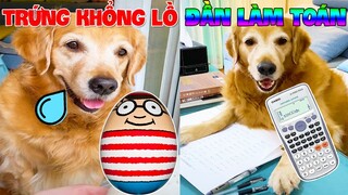 Thú Cưng Vlog | Gâu Đần Tinh Nghịch Phá Hoại Mẹ #4 | Chó thông minh đáng yêu | Smart dog cute pets