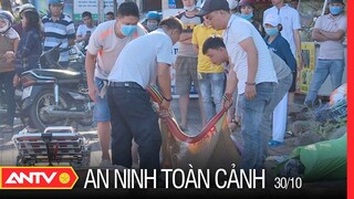 An Ninh Toàn Cảnh Ngày 30/10: Nhanh Chóng Truy Bắt Tên Trộm Đâm Người Nhà Tại Đắk Lắk | ANTV