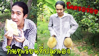 กินทุเรียนในสวนส่วนตัวราคา 10ล้าน