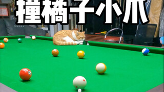 Goal scored by hitting the little paw