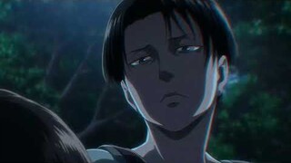Levi badboy 60 32