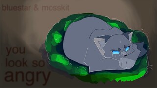 you look so angry | bluestar & mosskit