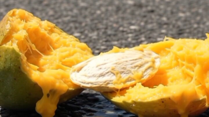 The Life Cycle of a Mango - From Road to Tree
