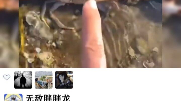 “Ceroboh”