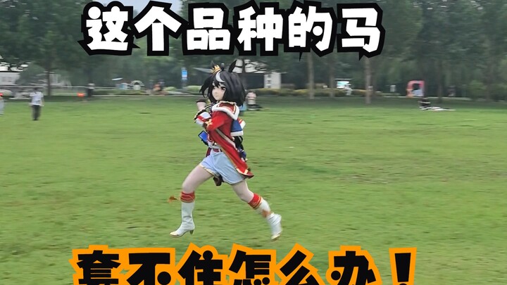 这马跑太快抓不住呀快来帮忙
