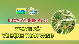 APN - BƯỚM VÀ NHỆN KỲ 30 - TRANH CẢI VỀ BỆNH THAN VÀNG #anphatnong