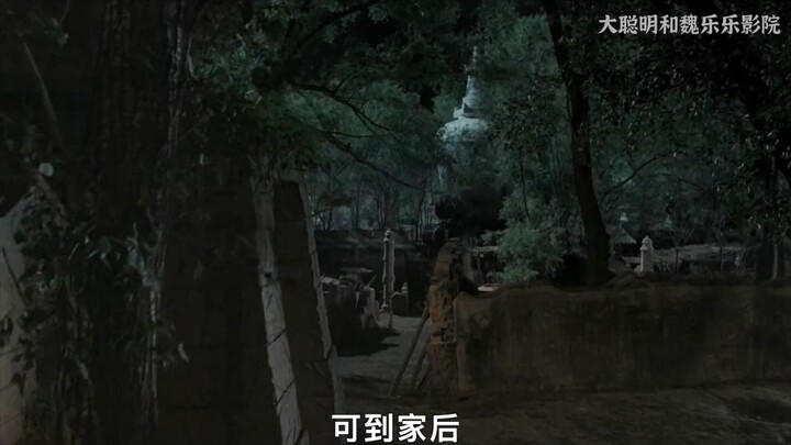 «السيد» الجزء 1/2: سقف الأفلام القتالية الصينية المحلية، يُظهر الفنون القتالية الصينية بأبهى صورها! 