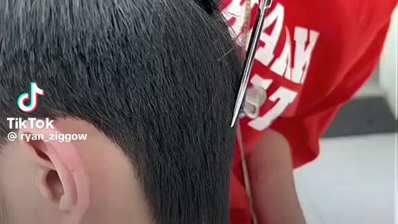 the beautiful hairstyle