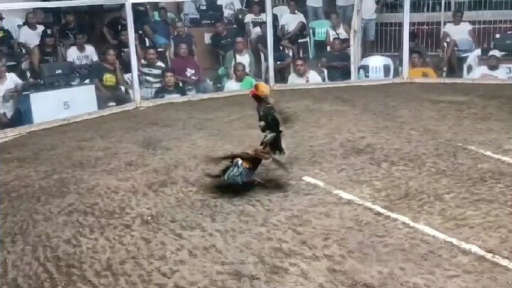 2025 FIGBA 8 Stag Local Edition Seventh Fight (Possum Boston) - loss