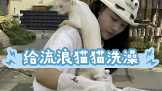 يوم مشمس نادر، إنه الوقت المثالي للاستحمام