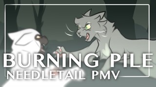 Burning Pile - Needletail PMV / Animatic