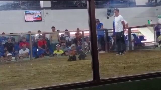 naman