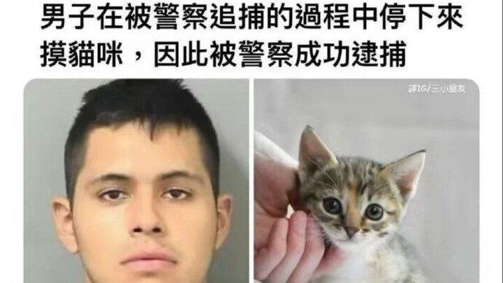 “แมวๆ ช่วยตำรวจจับผู้ร้าย แมวๆ เก่งมาก!”