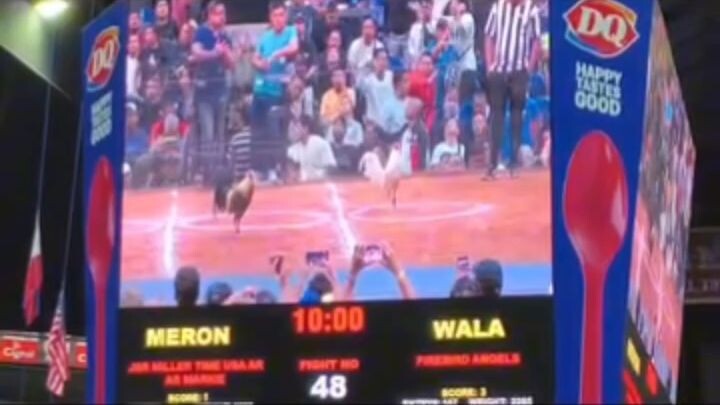 dan miller vs biboy laban ng dalawang signature line