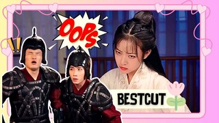 Đi thích sát mà không coi ngày kiểu | Bảo Vệ Thành Chủ Đại Nhân