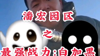 Pan Hong Park's strongest force: White and Black